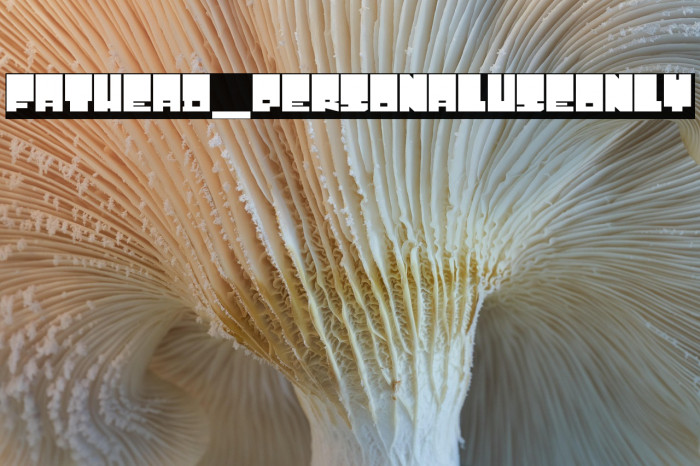 Fathead_PersonalUseOnly Example 3