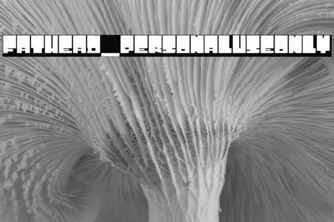 Fathead_PersonalUseOnly フォント examples