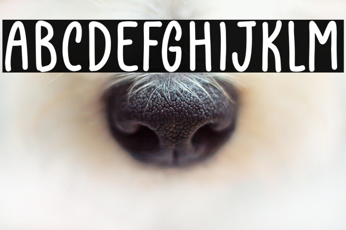 Father Farmhouse Sans Example 3