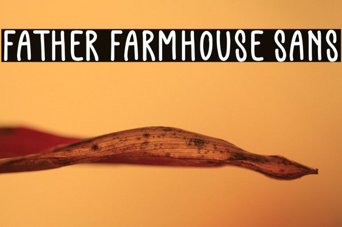 Father Farmhouse Sans Example 1