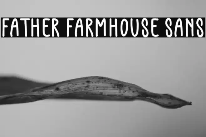 Father Farmhouse Sans Font examples
