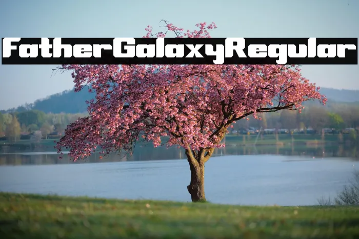 Father Galaxy Regular Example 2