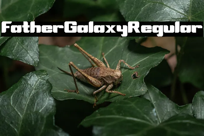 Father Galaxy Regular Example 3