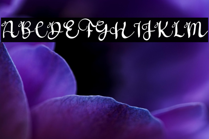 Father Sweety Example 1