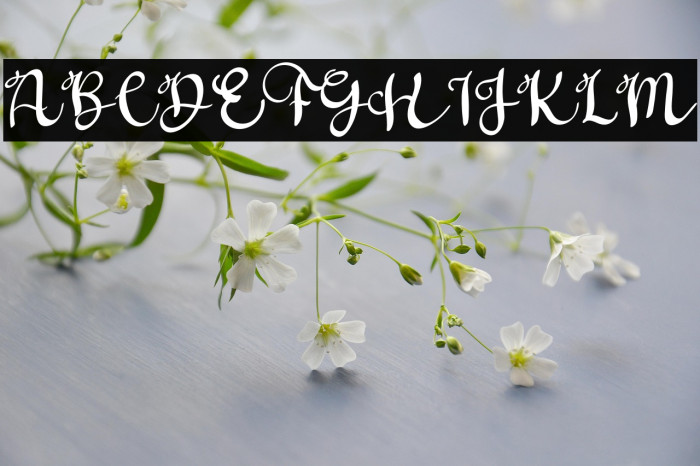 Father Sweety Example 2