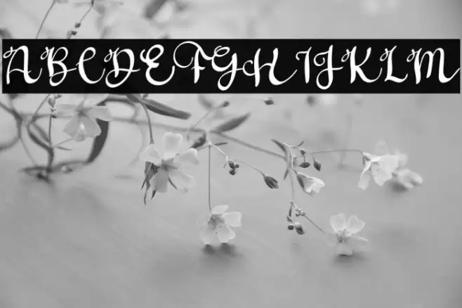 Father Sweety Font examples