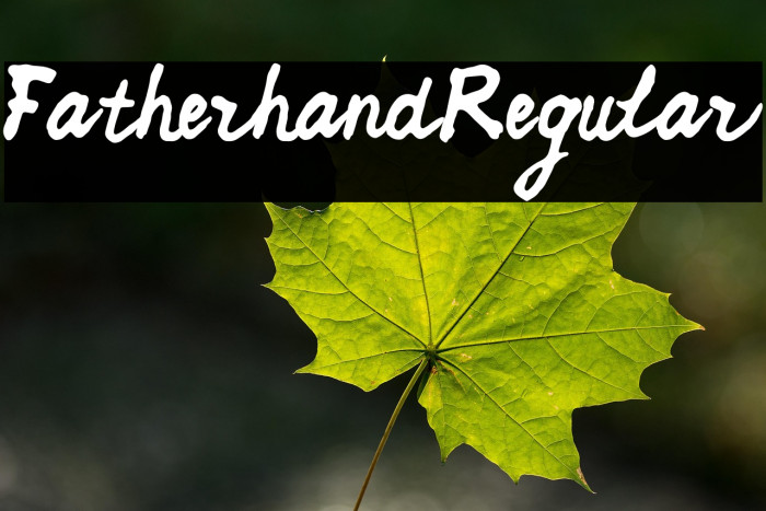 FatherhandRegular Example 1