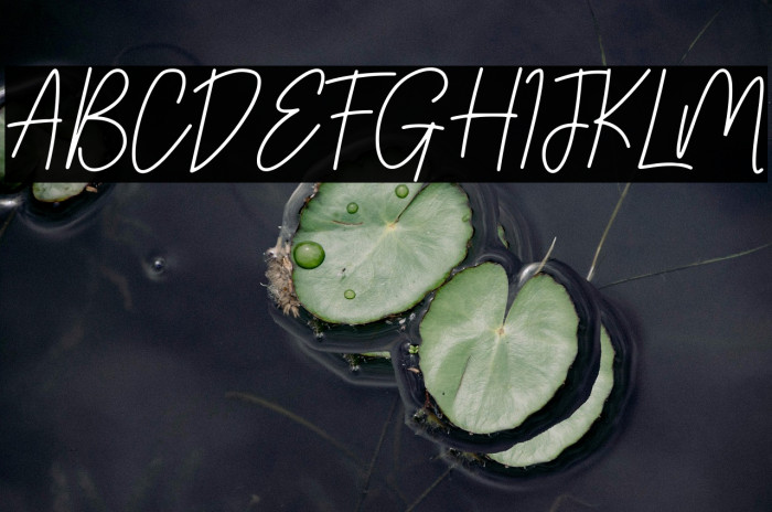 Fatherland Example 3