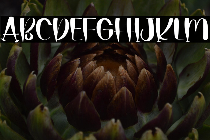 Fathers Days Example 1