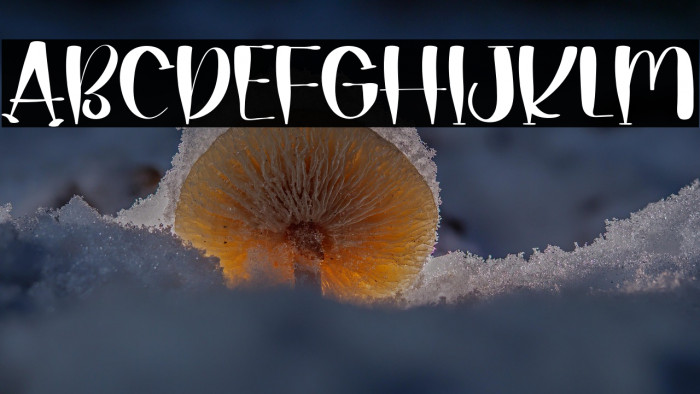 Fathers Days Example 2