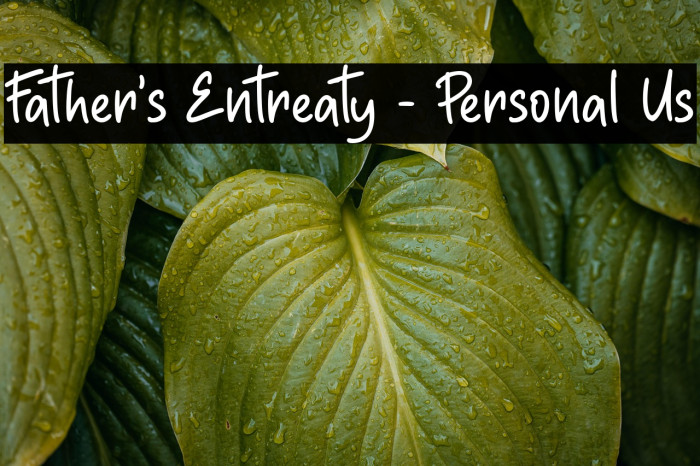 Father's Entreaty - Personal Us Example 1