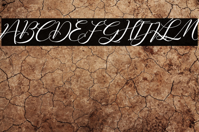 Fathir Script Personal Use Only Example 1