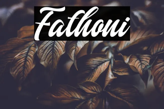 Fathoni Example 2