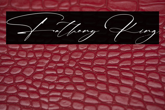 Fathony King Example 1