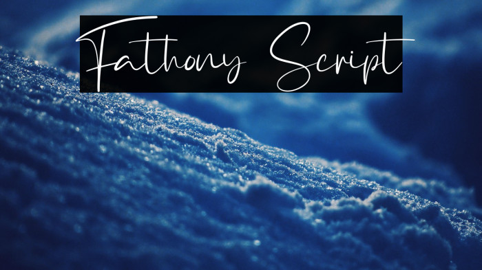 Fathony Script Example 1