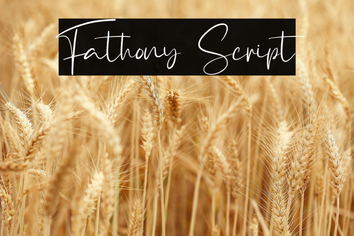 Fathony Script Example 3