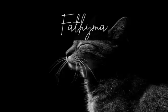 Fathyma Font examples