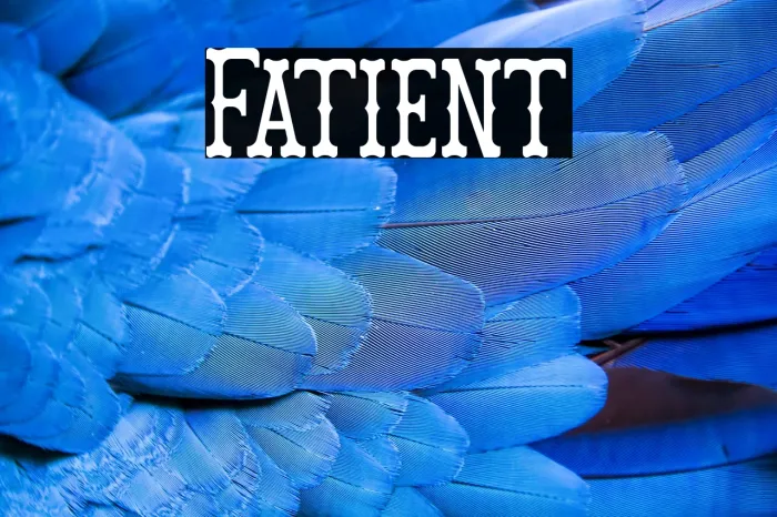 Fatient Example 3