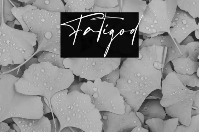 Fatigod Font examples