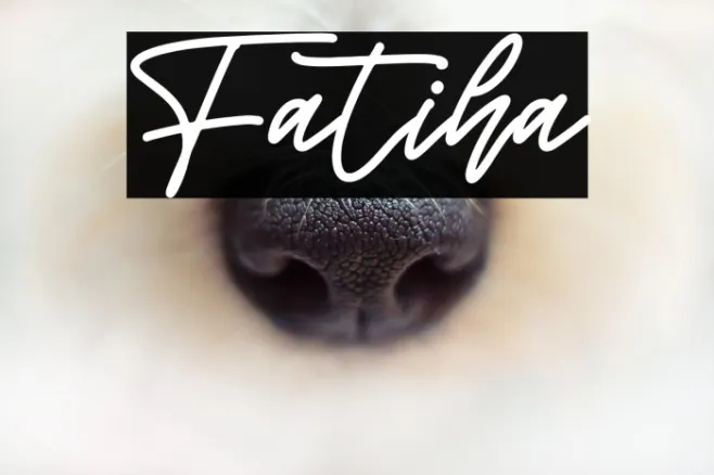 Fatiha Example 3