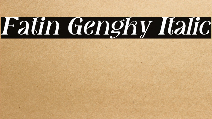 Fatin Gengky Italic Example 1
