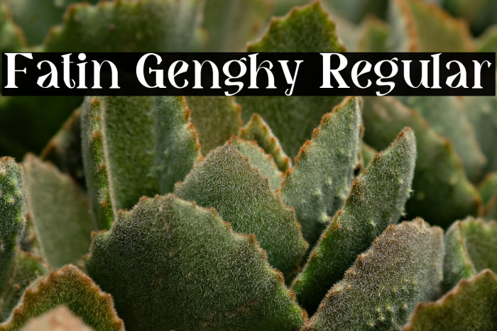 Fatin Gengky Regular Example 1