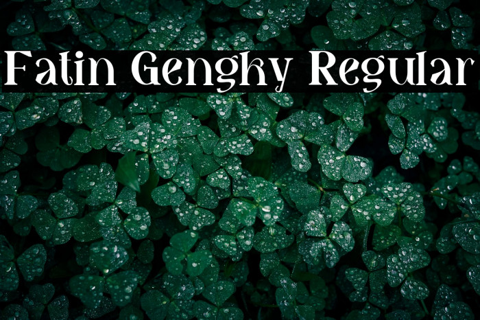 Fatin Gengky Regular Example 2