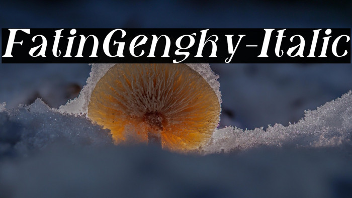 FatinGengky-Italic Example 1