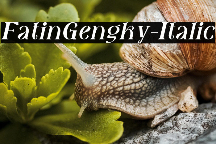 FatinGengky-Italic Example 3