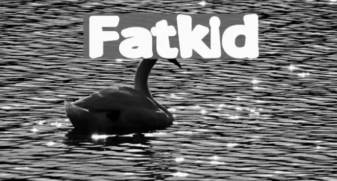 Fatkid Font examples