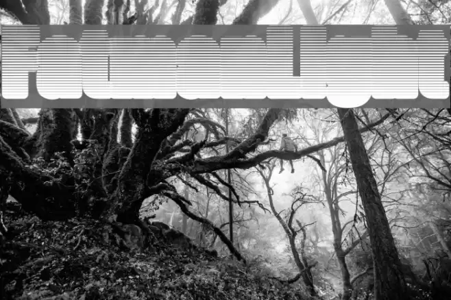 FatmanLight Font examples