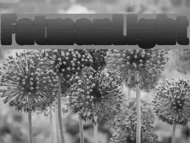 FatmanLight Font examples