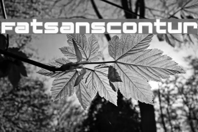 FatsansContur Font examples