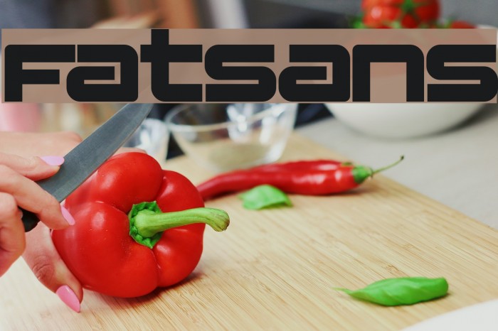 Fatsans Font examples