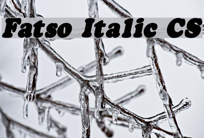 Fatso Italic CS Font examples