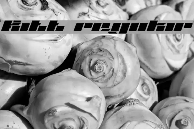 Fatt Regular Font examples