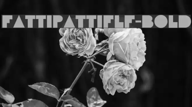 FattiPattiFLF-Bold フォント examples