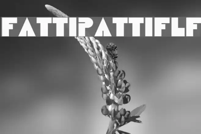 FattiPattiFLF Font examples