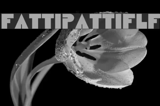 FattiPattiFLF Font examples