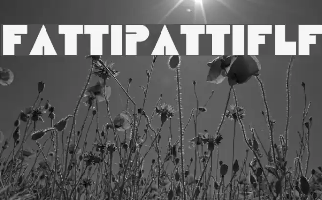 FattiPattiFLF Font examples