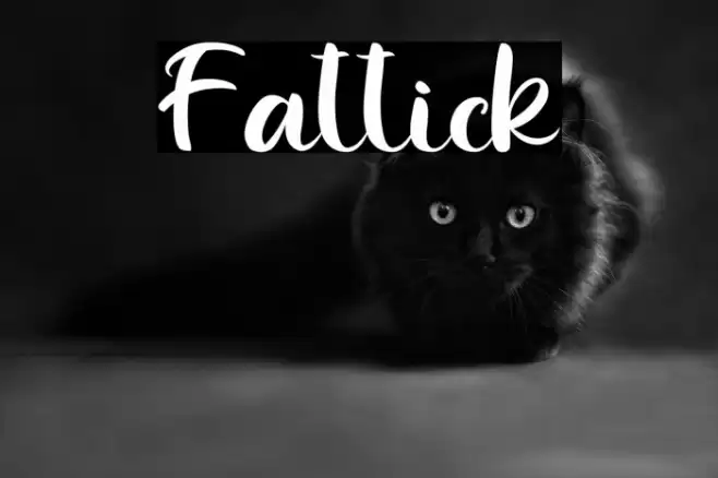Fattick Font examples