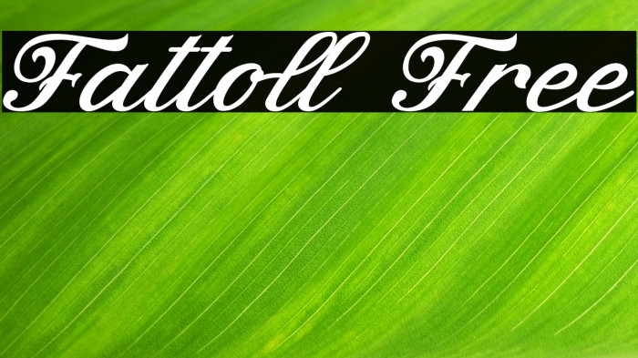 Fattoll Free Example 1