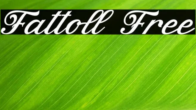 Fattoll Free Example 1