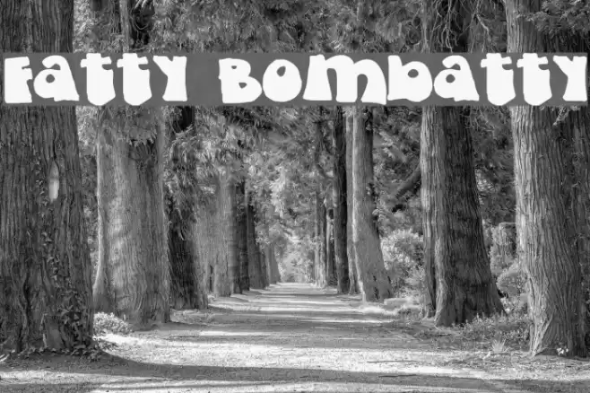 Fatty Bombatty Font examples