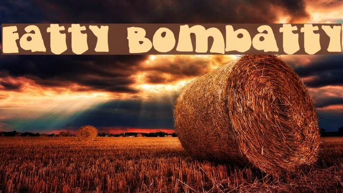 Fatty Bombatty Example 3