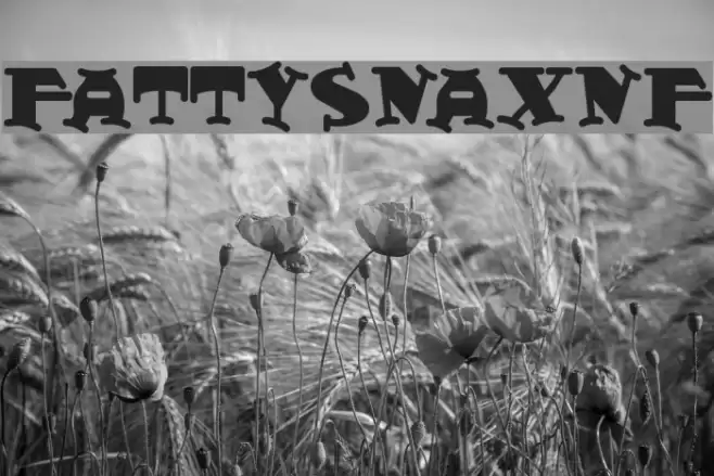 FattySnaxNF Font examples