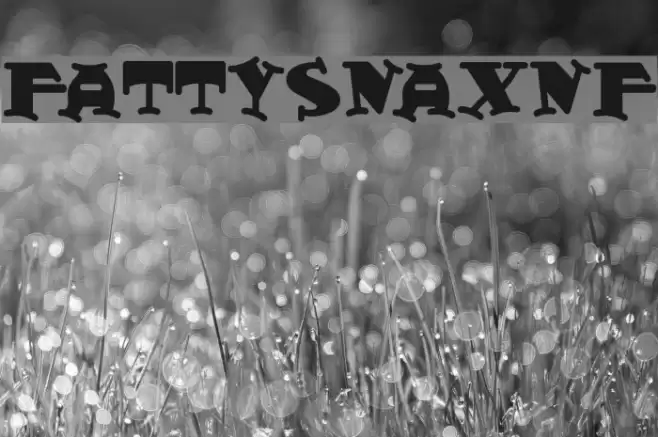 FattySnaxNF Font examples