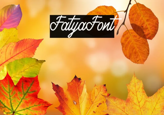 Fatya Example 2
