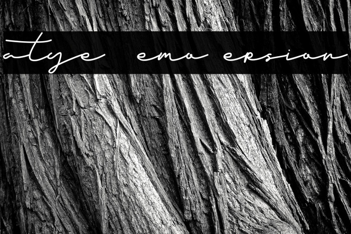 Fatye - Demo Version Example 2