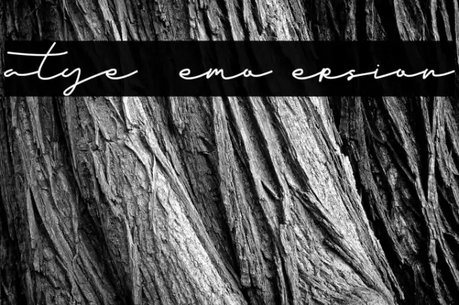 Fatye - Demo Version Font examples